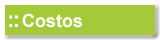 Costos del curso